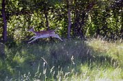 2019-06 01 (17)
